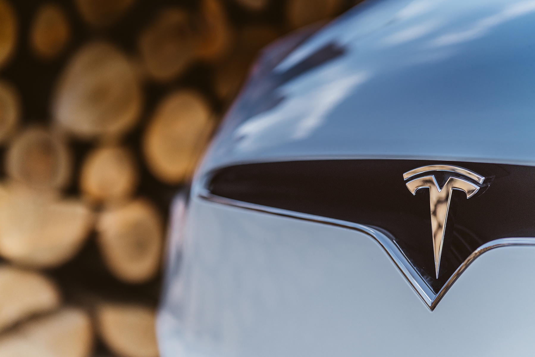 White-Logo-Tesla-Model-X-Wooden-Logs